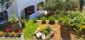 a garden with some plants in barrels and flowers at Apartament Oliva in Vrsar