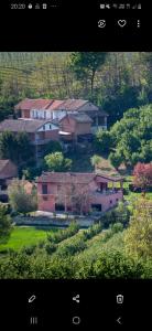 a group of houses on a hill with trees at Villa con piscina e intera struttura a uso esclusivo casa del moré in La Morra