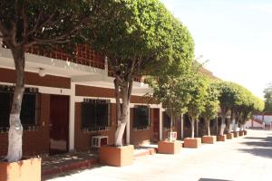 a row of trees in front of a building at Hotel California in Mazatlán