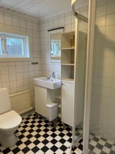 a bathroom with a toilet and a sink at Lillhuset Norr Sälens By in Sälen