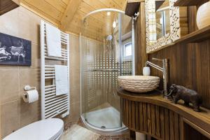 a bathroom with a shower and a toilet and a sink at Alpine Chalet Velika Planina - Irenca - I Feel Alps in Stahovica