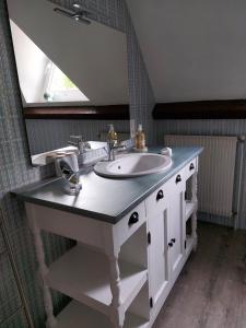 uma casa de banho com um lavatório e um espelho em Le relais globe trotteur em Montaigu