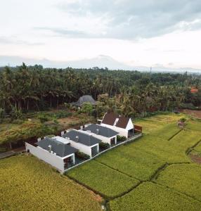 eine Luftansicht eines Hauses auf einem Feld mit Palmen in der Unterkunft Villa Omkara Ubud in Ubud