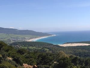 a view of a beach and the ocean at Apartamentos Bolonia - M a n u e l a in Bolonia