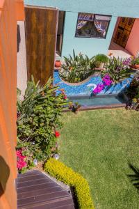 View ng pool sa Casa de las Palmas Guest House o sa malapit