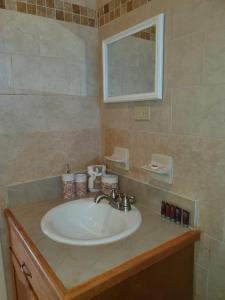 a bathroom with a sink with a mirror and a mirror at Fishtails Palms in Stuart Manor