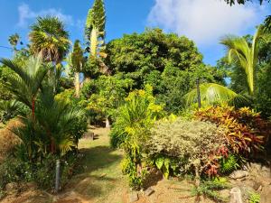 a garden with palm trees and other plants at Residence Can' Hibiscus in Le Marin