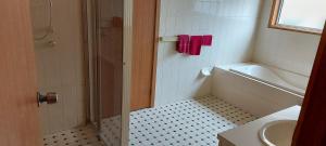 une salle de bain avec une douche, des toilettes et un lavabo dans l'établissement Barmera Lake Resort Motel, à Barmera 40 autres photos