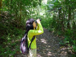 Majutusasutuse Gamboa Rainforest Reserve külastajad
