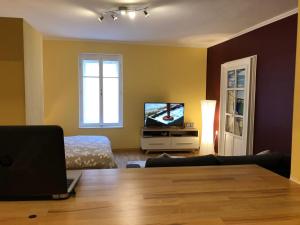 Televízia a/alebo spoločenská miestnosť v ubytovaní Zadar Old City Apartment Leonardo
