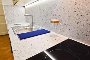 eine Küchentheke mit einem Waschbecken im Zimmer in der Unterkunft ZACHÁR APARTMAN in Sopron