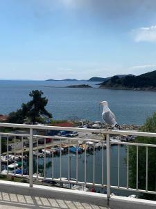 a seagull sitting on a railing overlooking a body of water at Overwave Apartment in Kavála