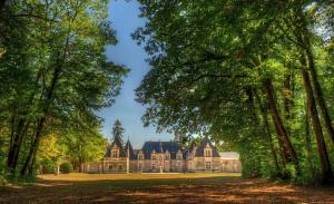 Afbeelding uit fotogalerij van Logis Hôtel du Cygne in Bracieux