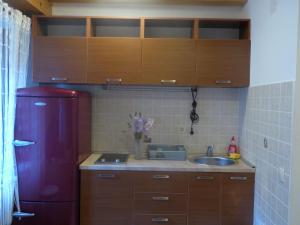Kuchyň nebo kuchyňský kout v ubytování Apartments Đukić + 37 fotografií