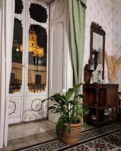 una pianta in vaso seduta in una stanza con specchio di Palazzo Il Cavaliere B&B De Charme a Modica