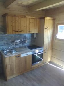 a kitchen with a stove and a sink in a cabin at Troadkasten Seinerzeit in Aich