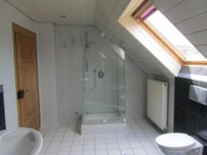 ein Bad mit einer Dusche, einem Waschbecken und einem WC in der Unterkunft Le Chalet in Frei-Laubersheim