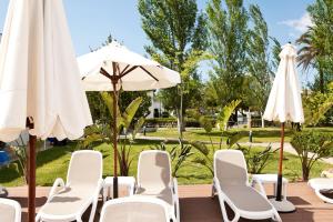Vonkajšia záhrada v ubytovaní Serenity Apartments