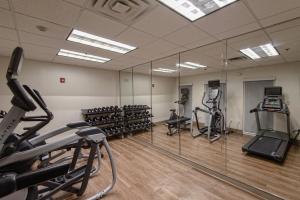 a gym with treadmills and elliptical machines at Holiday Inn Express & Suites Corpus Christi by IHG in Corpus Christi