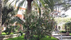 Zahrada ubytování Park Hotel San Michele