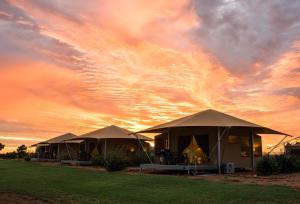 un groupe de tentes avec un coucher de soleil en arrière-plan dans l'établissement Mitchell Grass Retreat, à Longreach