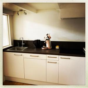 una cocina con armarios blancos y fregadero en Cleen Rochelle en Middelburg