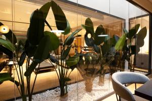 a room with a bunch of potted plants on a table at Goodnight Cádiz Apartments in Cádiz