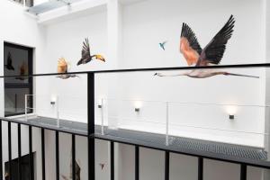 a group of birds on a display case in a room at Goodnight Cádiz Apartments in Cádiz