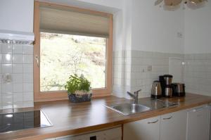 Köök või kööginurk majutusasutuses Haus Alpengruß
