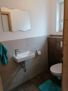 La salle de bains est pourvue d'un lavabo et de toilettes. dans l'établissement Appartement Kaiserplatzl, à Scheffau am Wilden Kaiser