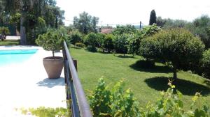 a garden with a pool and trees and a fence at Les collines de St Paul in Saint Paul de Vence +19 photos