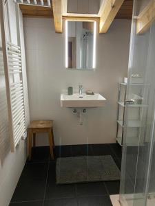een badkamer met een wastafel en een spiegel bij Chez Philippe in Savièse