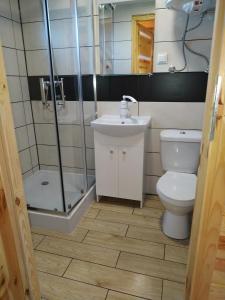 a bathroom with a shower and a toilet and a sink at Domki Arkadia Mielno in Mielno