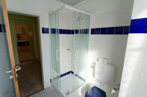 bagno con doccia in vetro e servizi igienici di Radfahrerherberge Krems a Krems an der Donau