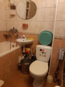 La petite salle de bains est pourvue de toilettes et d'un lavabo. dans l'établissement Очень уютная, тихая, єко комната с видом на сад, à Vinnytsia