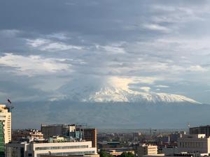 einen schneebedeckten Berg im Hintergrund einer Stadt in der Unterkunft City Central Apartment in Yerevan
