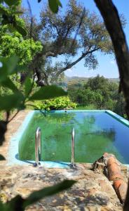 a swimming pool with two metal rails next to a tree at Monte das Cascatas in Marvão