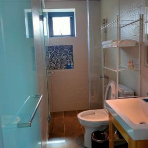 a bathroom with a shower and a toilet and a sink at Lao Yu Homestay in Taitung City +117 photos