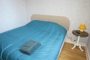uma cama com um cobertor azul e uma mesa com um candeeiro em Les Volets Bleus em Pierrefitte-sur-Loire