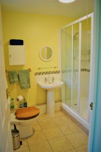 a bathroom with a toilet and a sink and a shower at The Cottage Garden - A Herefordshire Retreat in Ross on Wye