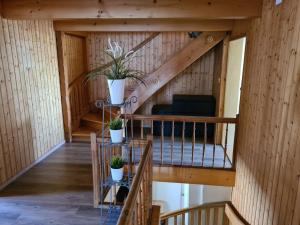 een zolderkamer met een trap en potplanten bij Backpacker Bären in Urnäsch