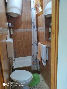 a small bathroom with a toilet and a shower at VIKENDICA ODMOR NA DRINI in Ljubovija