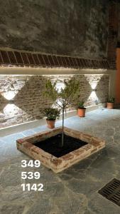 Fotografia z galérie ubytovania Residenza Nikol v destinácii Casale Monferrato