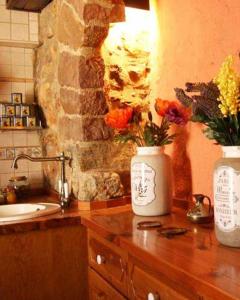 - une cuisine avec 2 vases avec des fleurs sur un comptoir dans l'établissement Artesola, à Onda