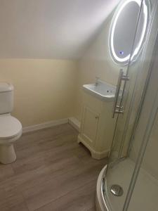 a bathroom with a toilet and a sink and a shower at Ard Na Mara Self Catering Isle of Mull in Dervaig