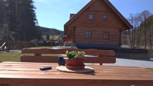 Príroda v okolí apartmánu