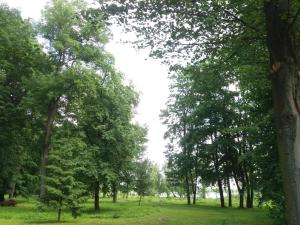 a row of trees in a park with green grass at Ципель 1 in Szack