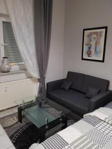 sala de estar con sofá y mesa de cristal en Apartment Antik en Wetzlar