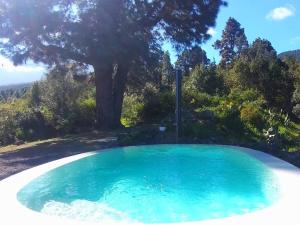 una gran piscina con un árbol en el fondo en Finca Verode, en Santa Cruz de Tenerife