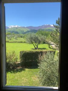 ein Fenster mit Blick auf einen Baum auf einem Feld in der Unterkunft Casale Della Maiella in Guardiagrele